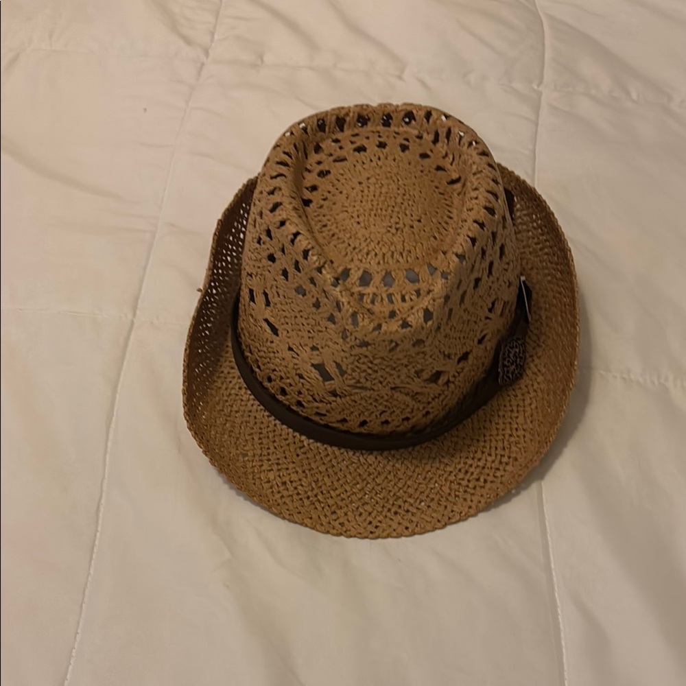 Brown Woven Fedora Hat